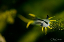 ~ Positive and Negative Space ~ by Geo Cloete 